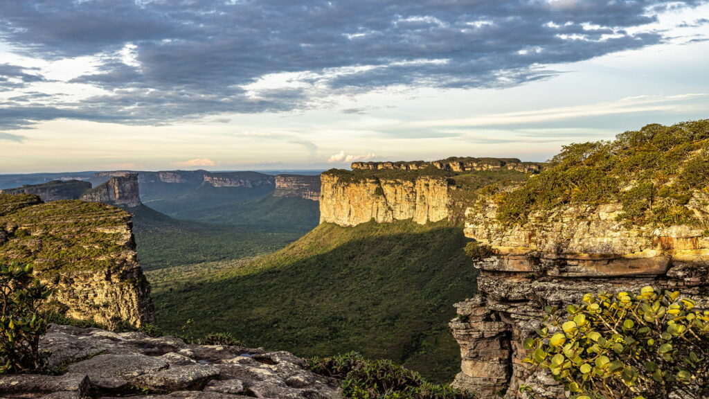 rouanet interior 

#PraCegoVer: Fotografia colorida em plano aberto de uma paisagem natural vasta e montanhosa sob um céu de fim de tarde. Em primeiro plano, rochas escuras e vegetação rasteira de áreas elevadas. Ao centro e ao fundo, destacam-se imensos platôs e paredões rochosos (mesas) com encostas íngremes e topos planos, cobertos por vegetação verde densa. Um vale profundo e extenso serpenteia entre as formações geológicas. A luz solar atinge lateralmente os paredões, criando um contraste de luz e sombra que ressalta as texturas das rochas. O céu está preenchido por nuvens horizontais em tons de branco e cinza, com frestas de luz azul clara.